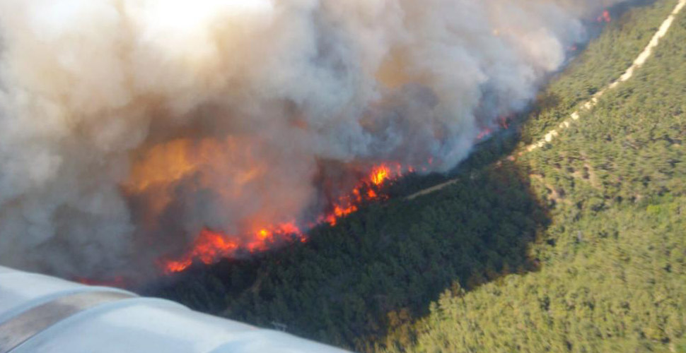 Gelibolu'da orman yangını