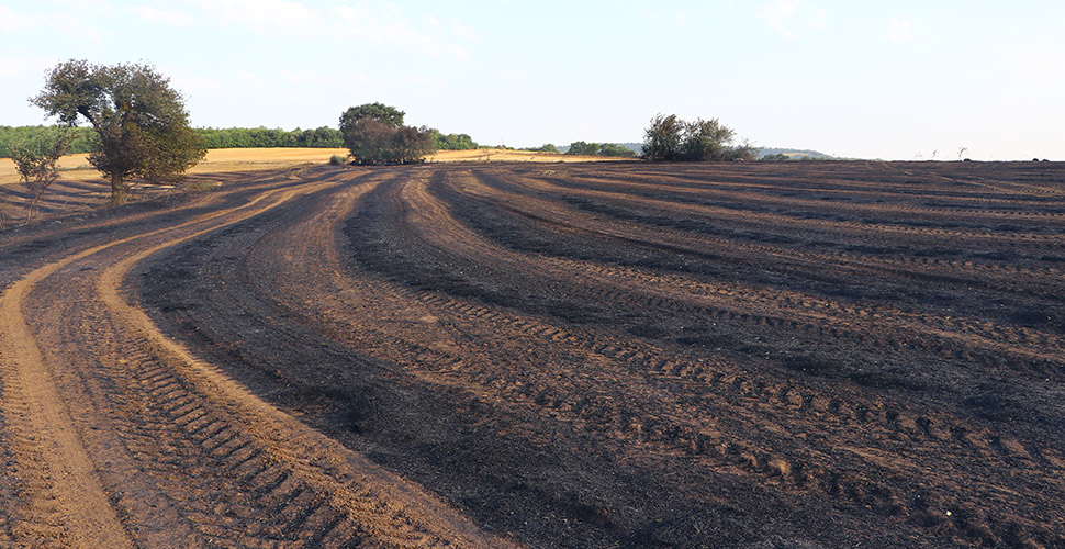 Tekirdağ'da 200 dekar alandaki anızlar kül oldu