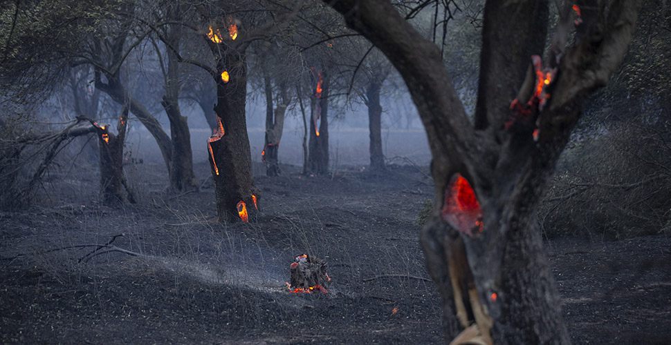 Gelibolu Yarımadası'nda büyük yangın: Söndürme çalışmaları sürüyor