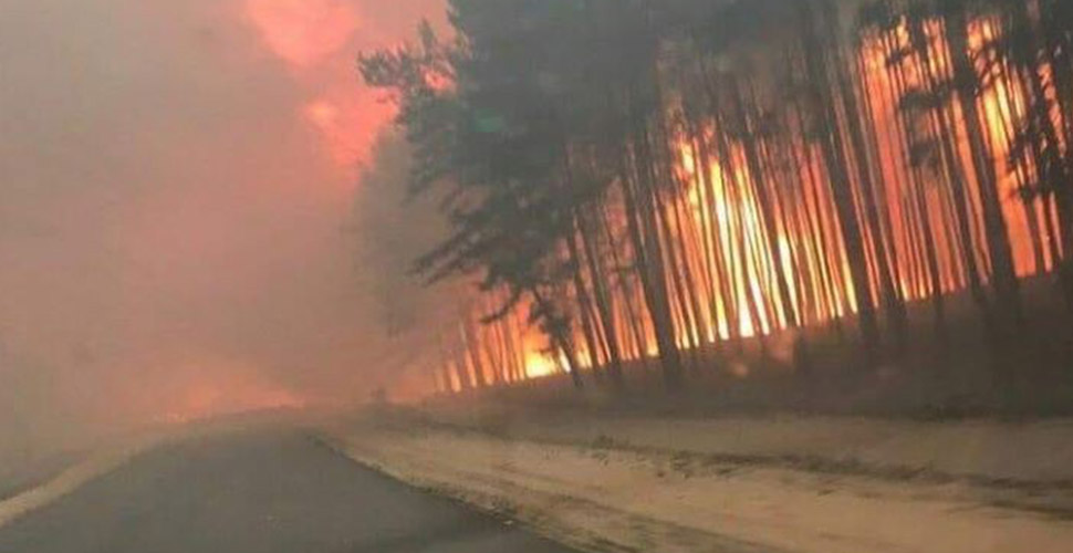 Ukrayna'daki orman yangınında ölü sayısı 6'ya yükseldi