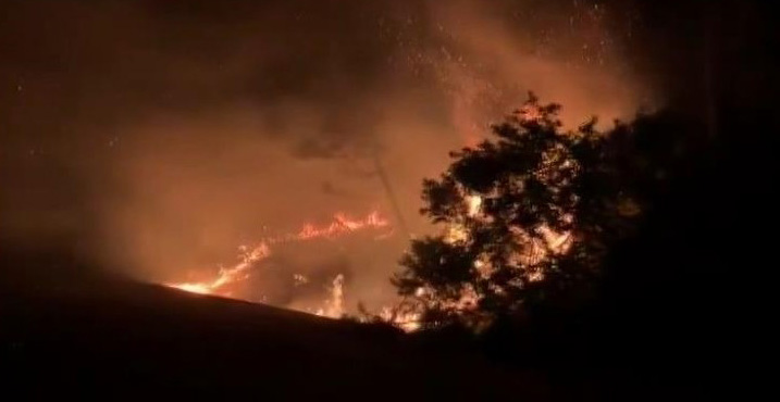 Sarıyer'de orman yangını