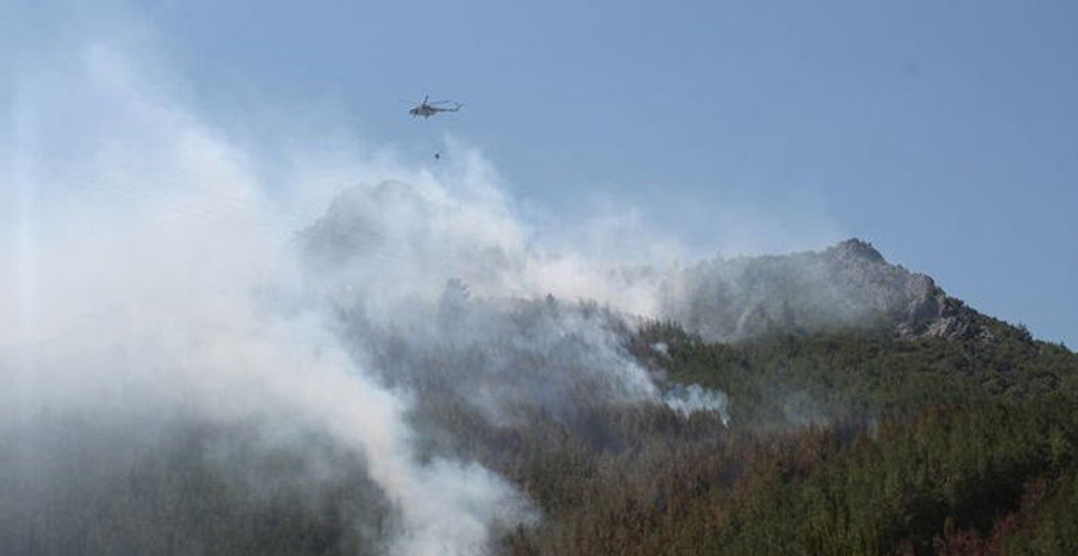 Kuşadası'nda düşen yıldırım, 3 hektarlık alanı kül etti