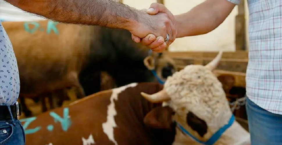 Kurbanlıklarda koronavirüs tepsit edilmedi
