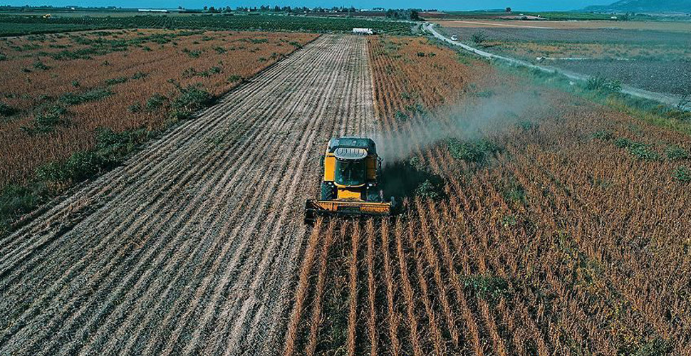 Son dakika! Üreticilere 651 milyon liralık destek ödemeleri yarın hesaplarda