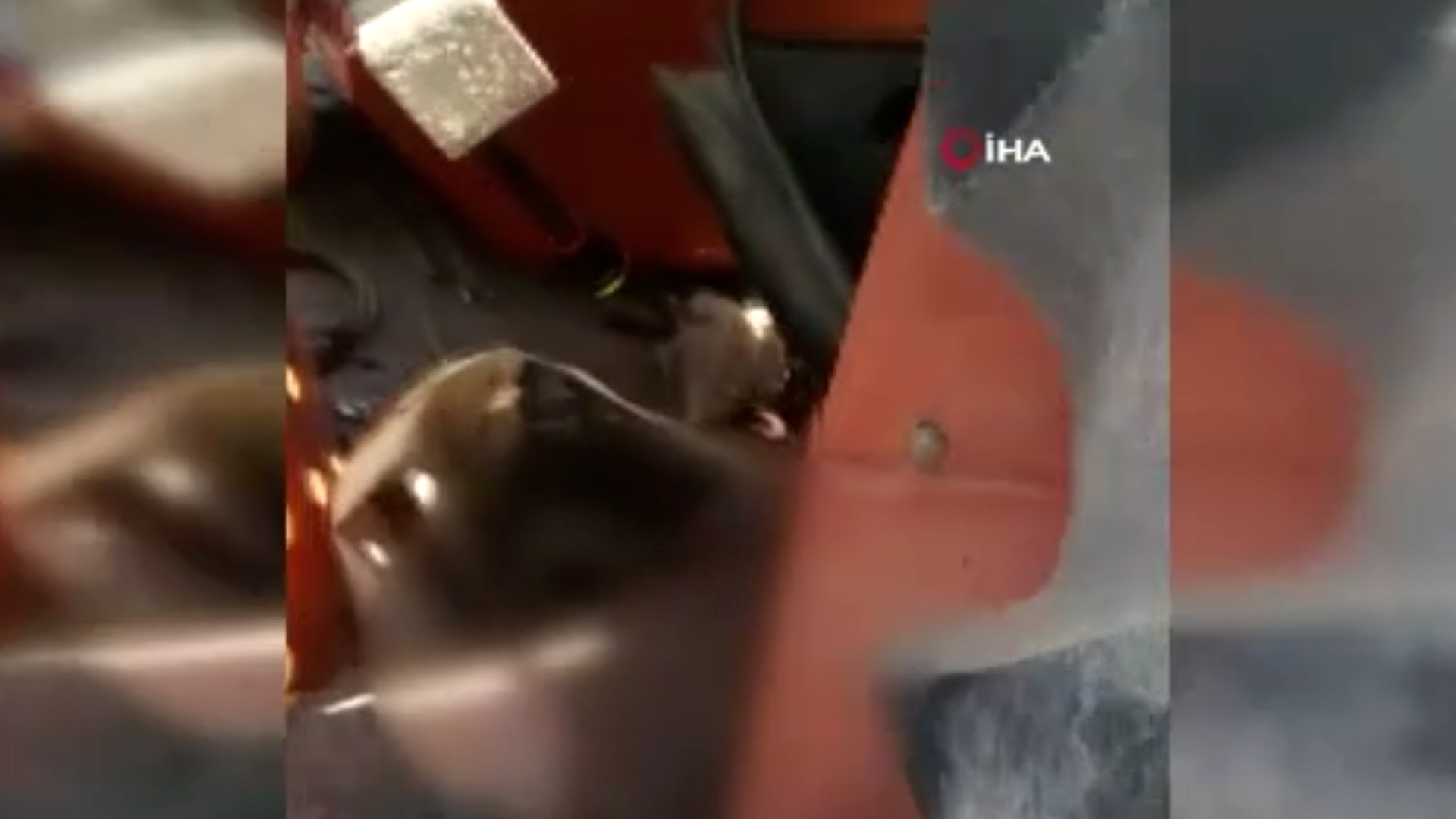 85 yaşındaki yaşlı adam traktörün altında kalarak hayatını kaybetti