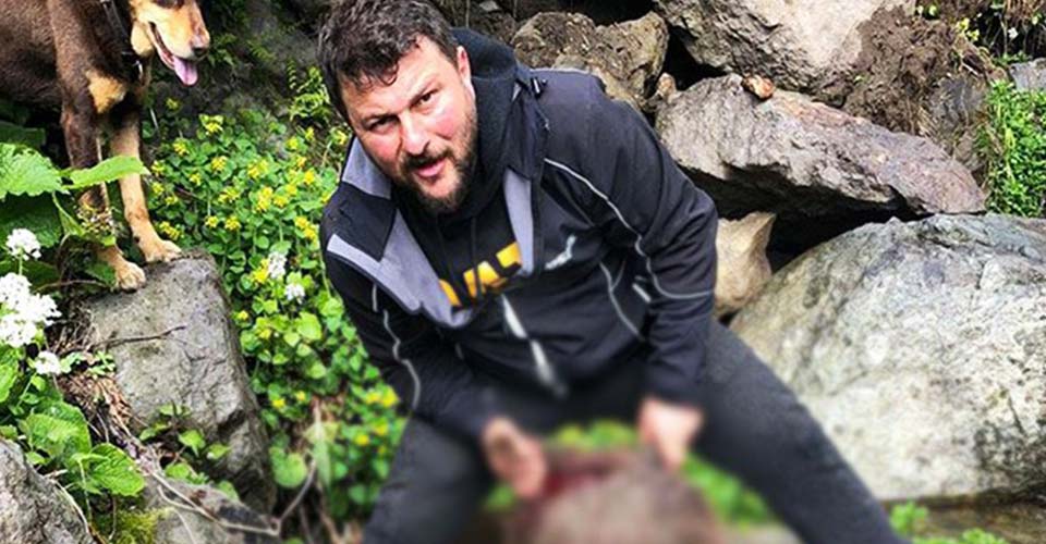 Artvin'de 'avcı vahşeti'ne gözaltı! Yavru ayıyı vurdu, köpekleri ile işkence etti