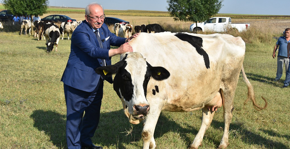 Türkiye'nin en büyük mera ıslahı projesi yüzleri güldürdü