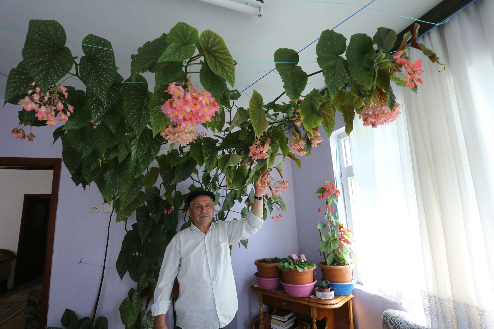 Vefat eden eşinin hatırasını yaşattığı çiçek tüm odayı kapladı