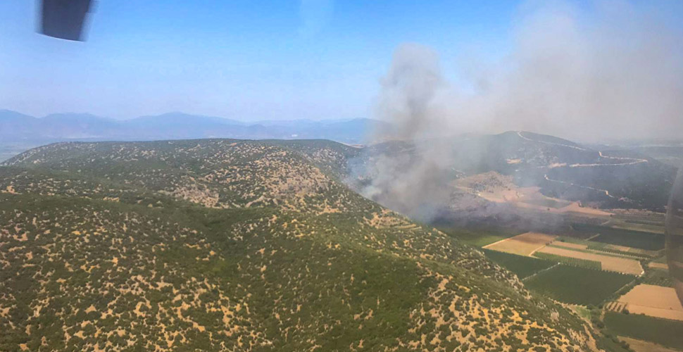 İzmir'de makilik alanda yangın