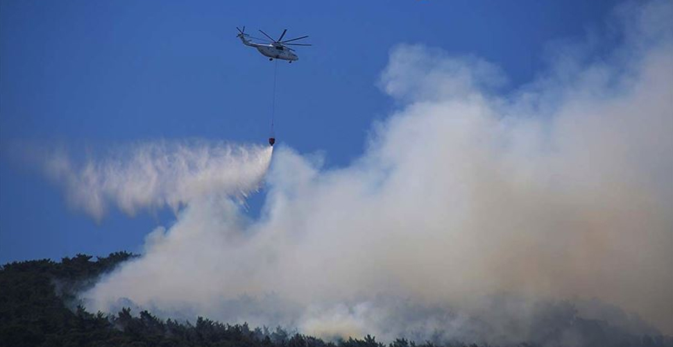 Çanakkale'nin Gelibolu ilçesinde yine orman yangını çıktı
