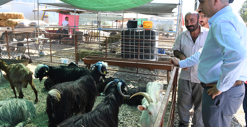 Konyaaltı Belediyesi kurban bayramı hazırlıklarını tamamladı