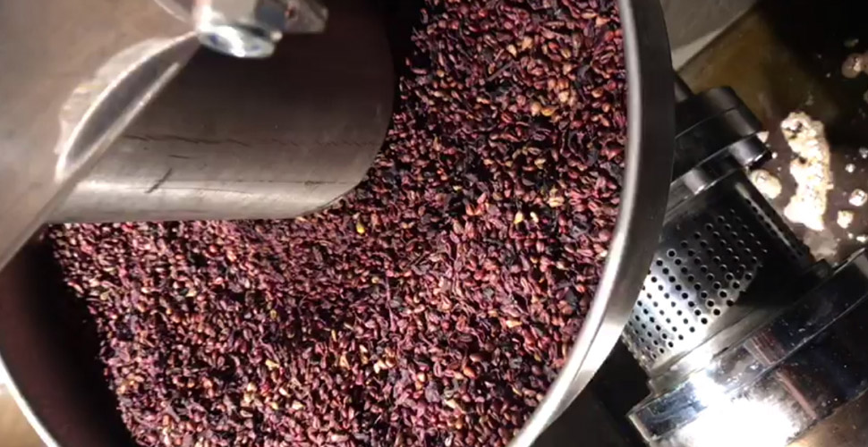 E vitamininden 50 kat daha güçlü! Üzüm çekirdeği yağının litresi 640 liradan satılıyor