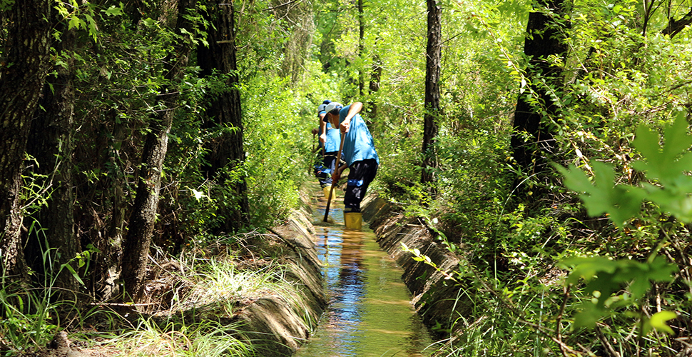 Muğla Büyükşehir Belediyesi, sulama kanallarının tamirat ve temizliğini tapıyor