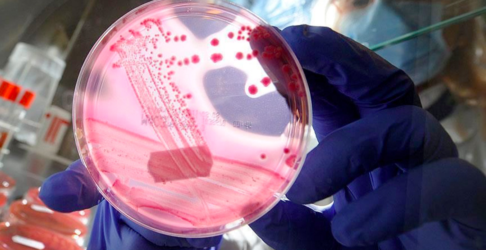 Türk bilim insanları kanserle savaşacak ''uyuyan hücrelerin'' şifrelerini keşfetti