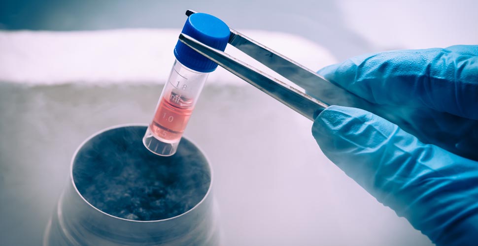 İdrar kaçırma tedavisinde kök hücre için daha çok araştırmaya ihtiyacımız var