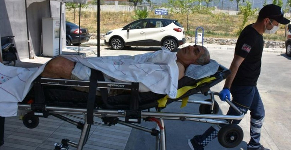 Muğla'da elektrik sayacı okuyan görevli, iki pitbullun saldırısına uğradı