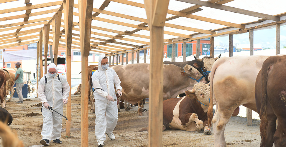 Esenyurt Belediyesi kurban bayramı hazırlıklarını tamamladı