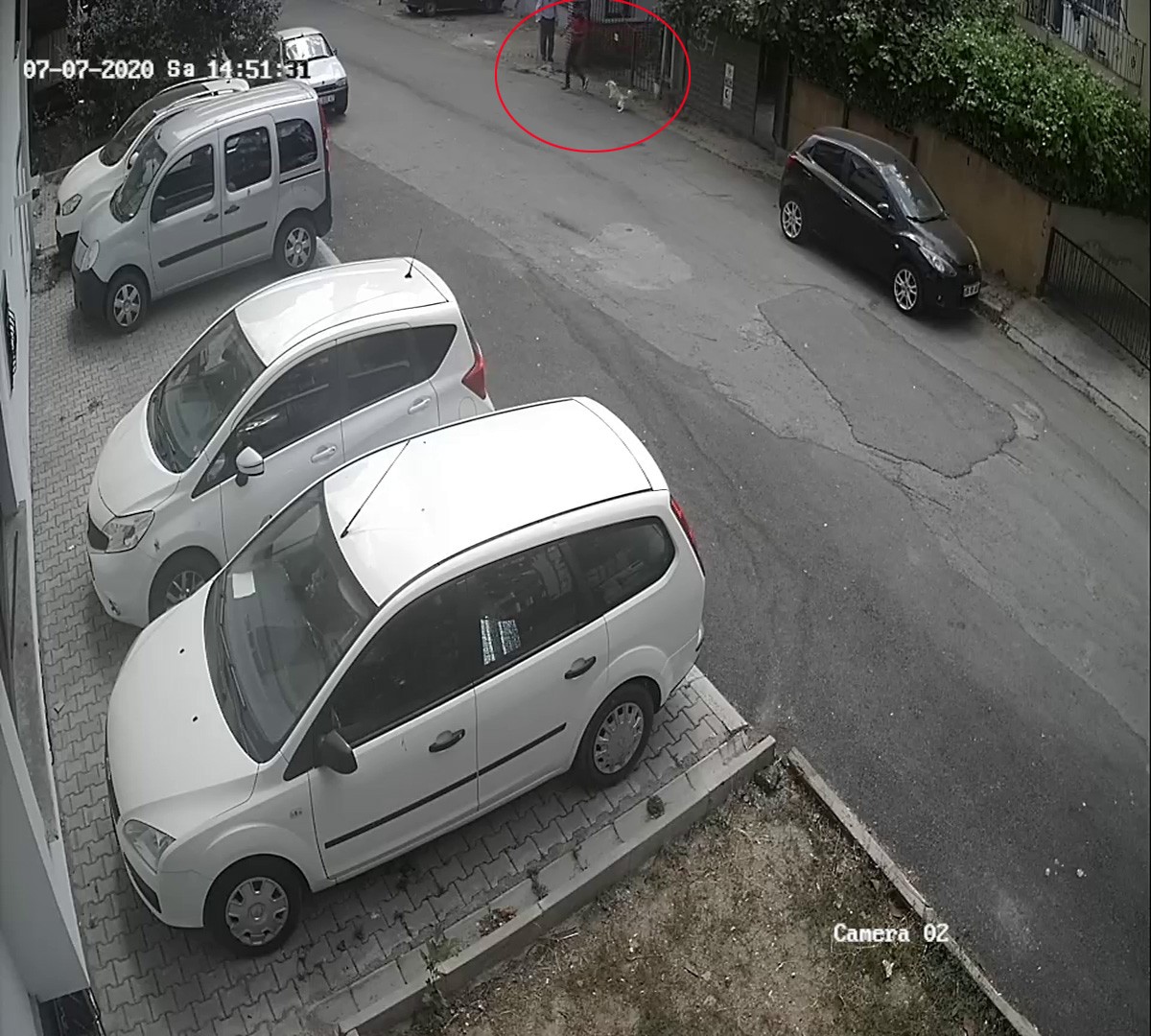 Evin bahçesinde bulunan köpekleri güpegündüz çaldı