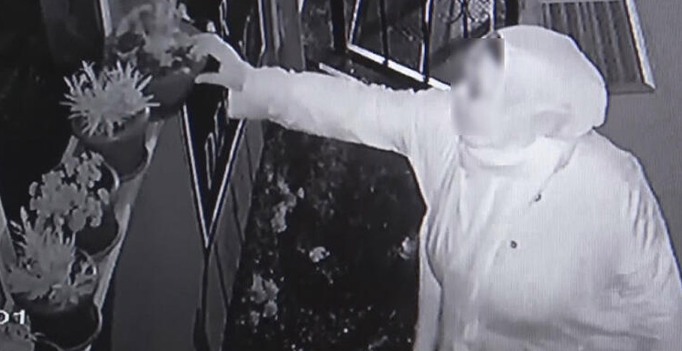Arnavutköy'de bir kadın, çocuklarının gözü önünde hırsızlık yaptı