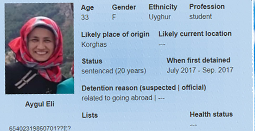 Türkiye'de okuduğu için tutuklanan Aygül Eli'den haber alınamıyor