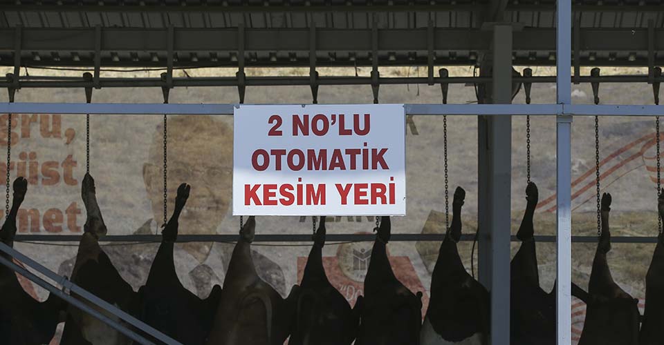 Nevşehir'de kurban keserken kalp krizi geçiren kişi öldü