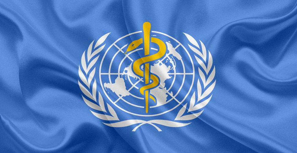 Dünya Sağlık Örgütü nedir, ne değildir?
