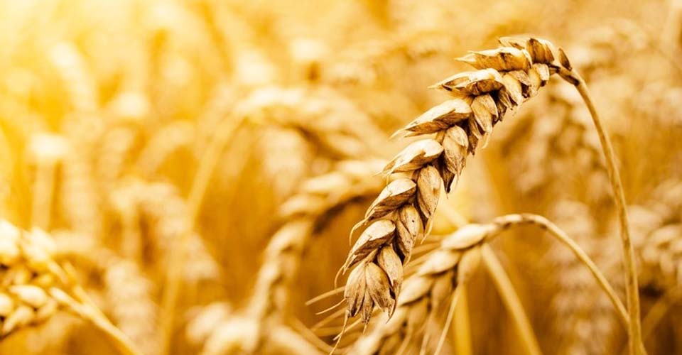 Son dakika! 115 tarım ürününe ek vergi kondu