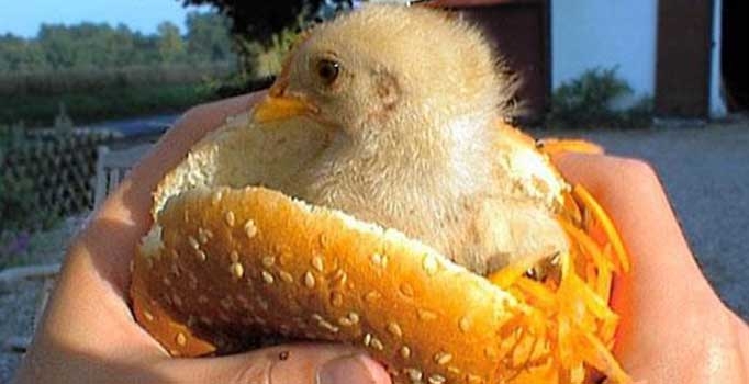 Sıcak havayı serinleten soğuk capsler