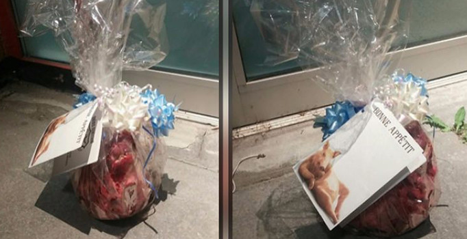 Kanada’da Quebec City İslam Kültür Merkezi’nin girişine domuz kafası bırakıldı