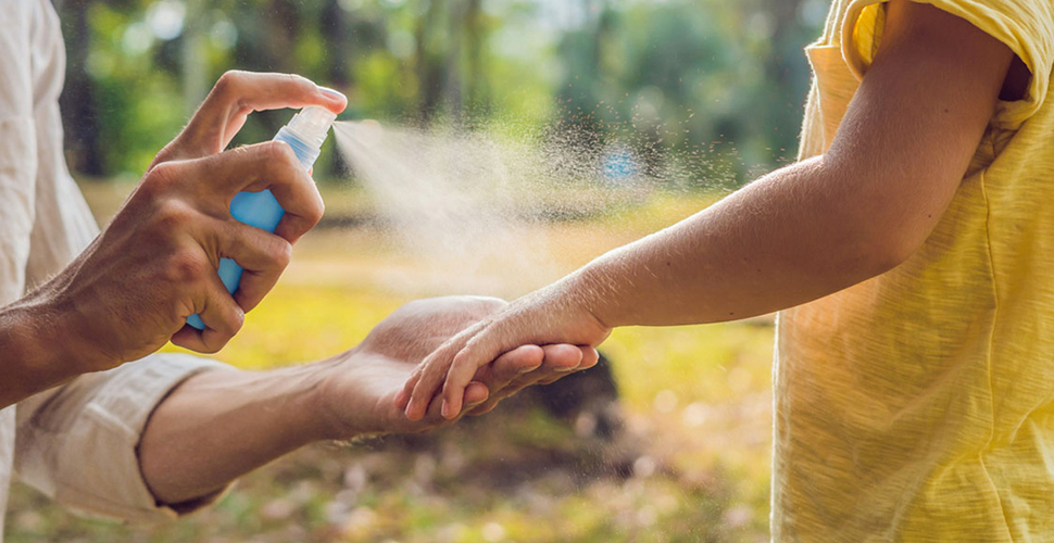 Sinek ilacındaki madde koronavirüsü öldürüyor