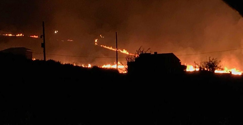 Yalova'da ormanlık alanda büyük yangın