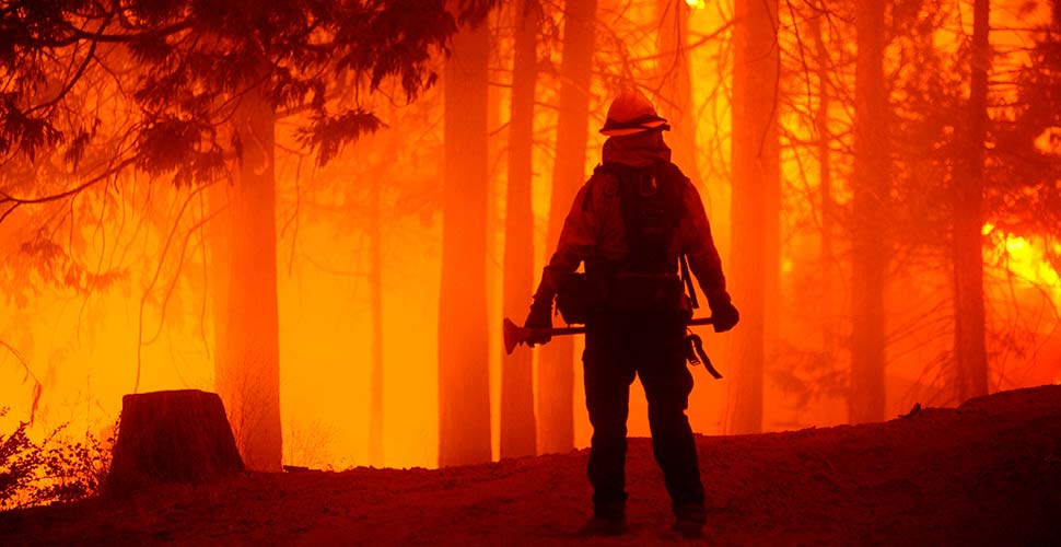 California Valisi'nden 'yangın' isyanı: Gerçek, olağanüstü ve kahrolası!