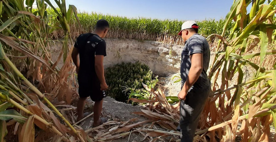 Konya'da mısır tarlasının ortasında 15 metrelik obruk oluştu