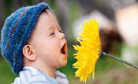 Bahar geldi, çayır polenlerine dikkat!