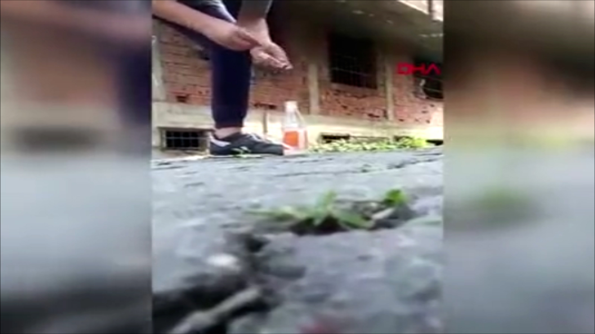 Cam şişeye konan torpil patladı: 3 çocuk yaralı