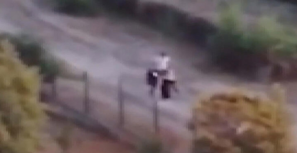 İstanbul'da sokak köpeklerini besleyen kadını baba-kız darp etti