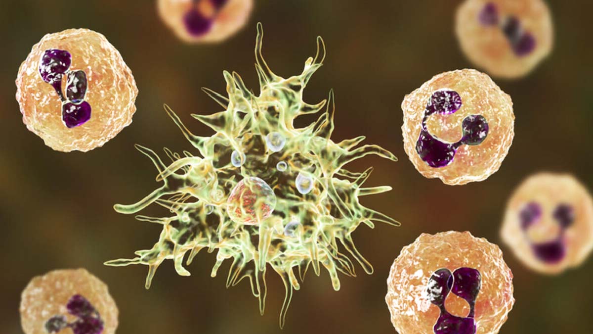 Texas'ta halka uyarı: İçme suyunda beyin yiyen amip bulundu