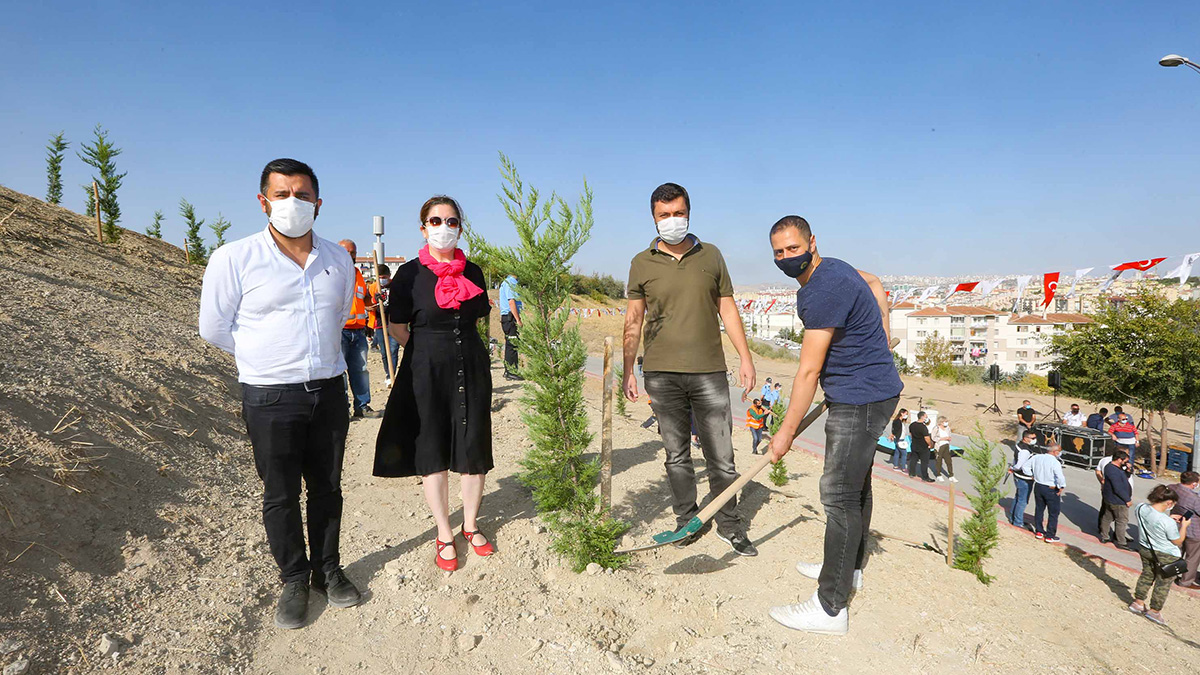 Yenimahalle'de 300 ağaç toprakla buluştu