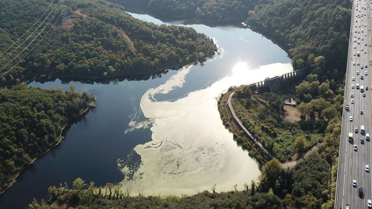 İstanbul'da barajlar alarm veriyor: Tasarruflu olun