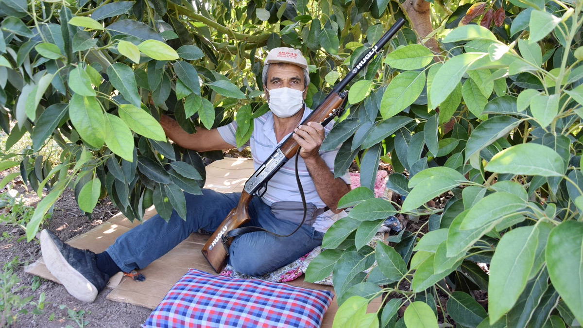 Hırsızların yeni hedefi oldu! Tanesi 10 liradan satılıyor