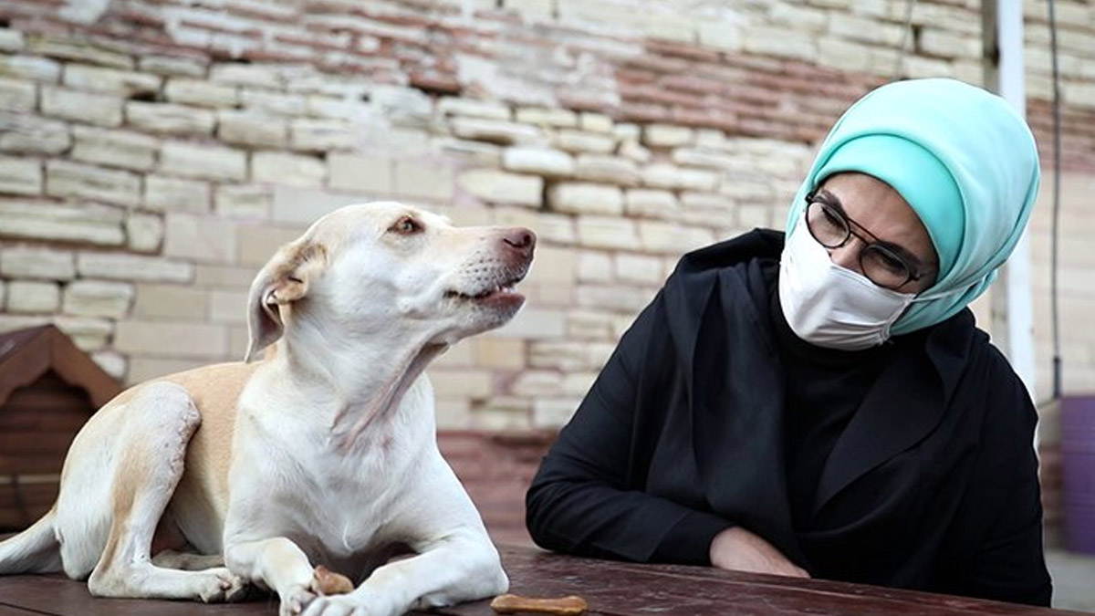 Emine Erdoğan, Leblebi isimli engelli köpeği sahiplendi