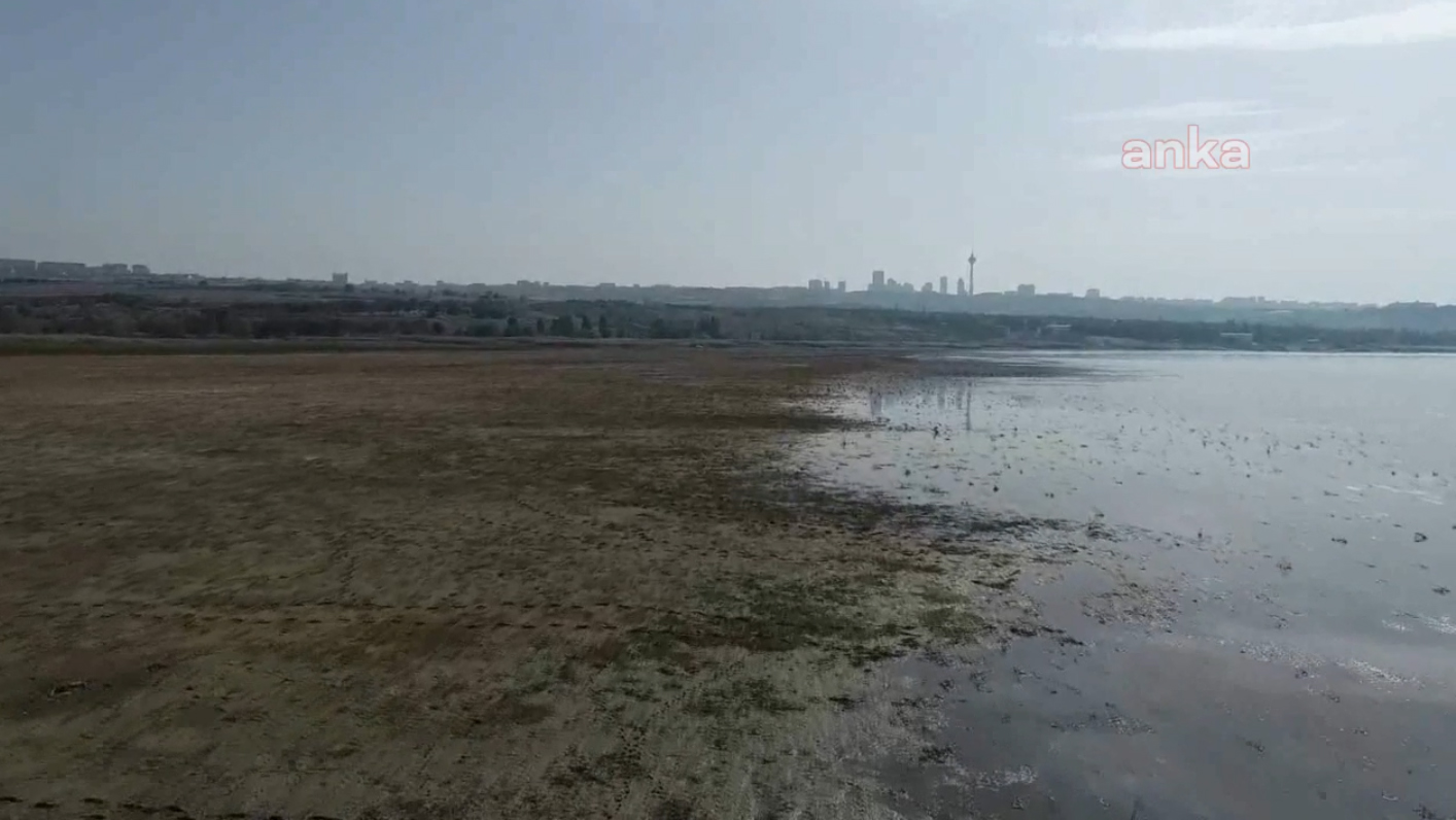 Büyükçekmece'deki kuraklık doğal yaşamı da tehdit ediyor