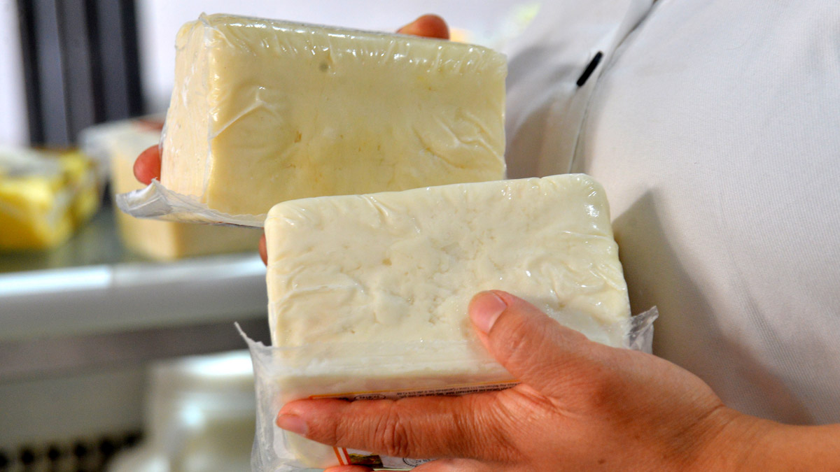 Gıdada büyük oyun! Peynire bitkisel yağ, yoğurda nişasta katıyorlar