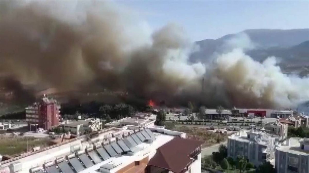 Hatay'da yangın paniği! Alevler evlere sıçradı