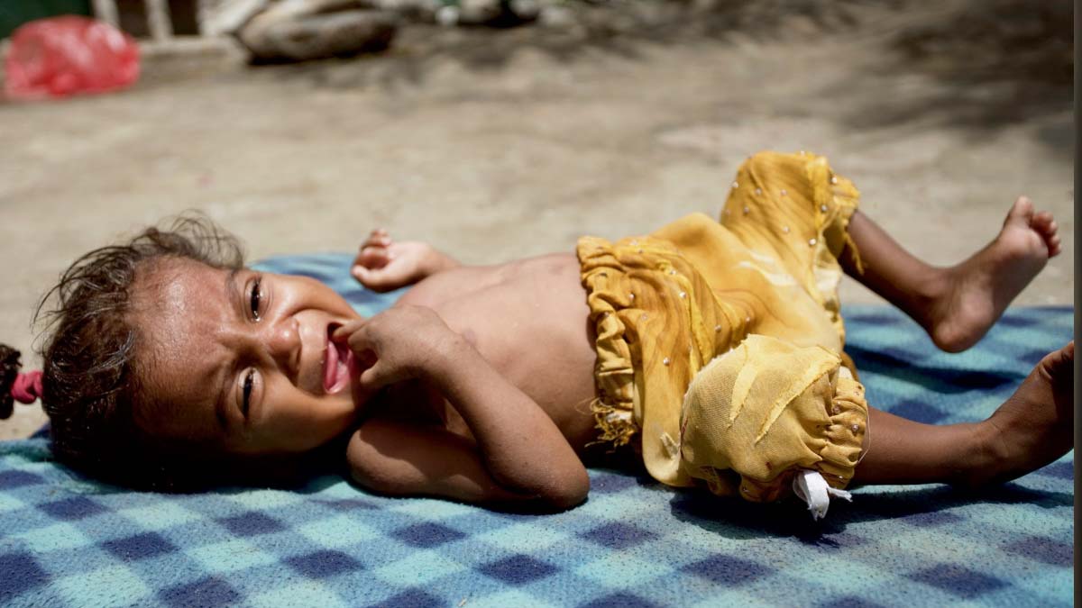 Son dakika! Nobel Barış Ödülü'nün sahibi Dünya Gıda Programı oldu