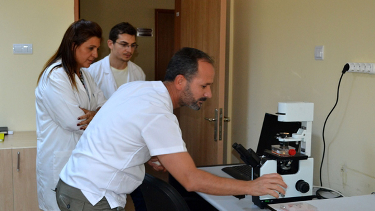 Bütün yaralar artık hızla iyileşecek