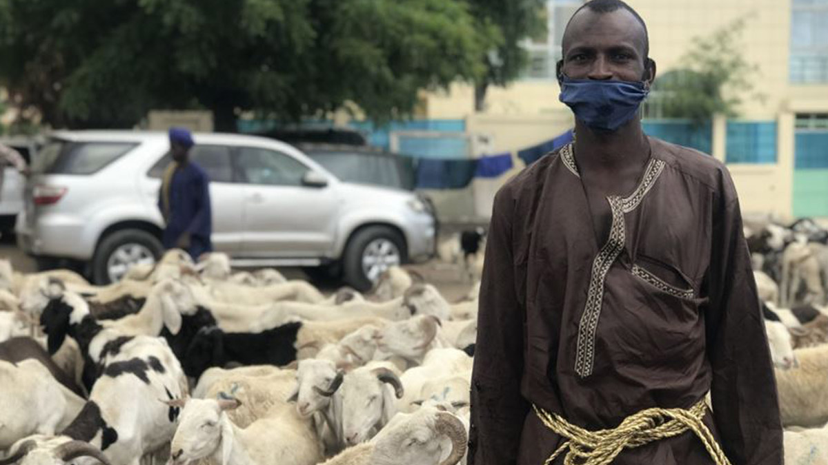 Afrika'da 5 bin yeni vaka daha