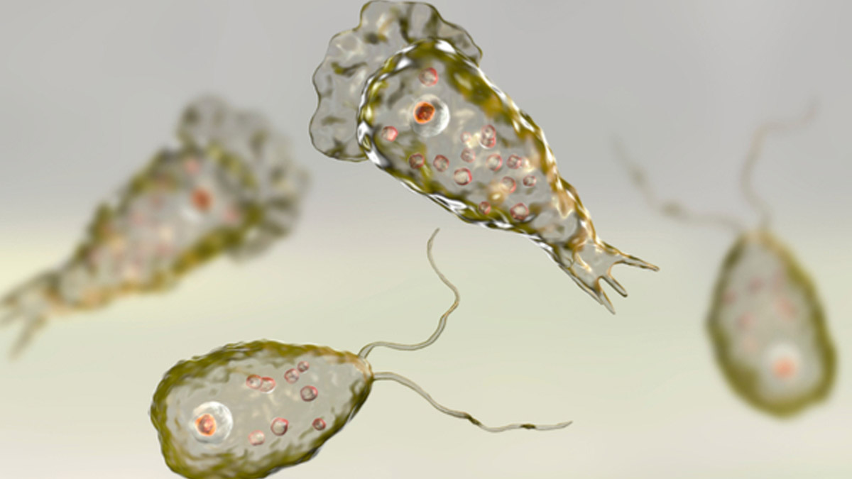 Uzman isim uyardı! Kaplıcalarda 'beyin yiyen amip' tehlikesi