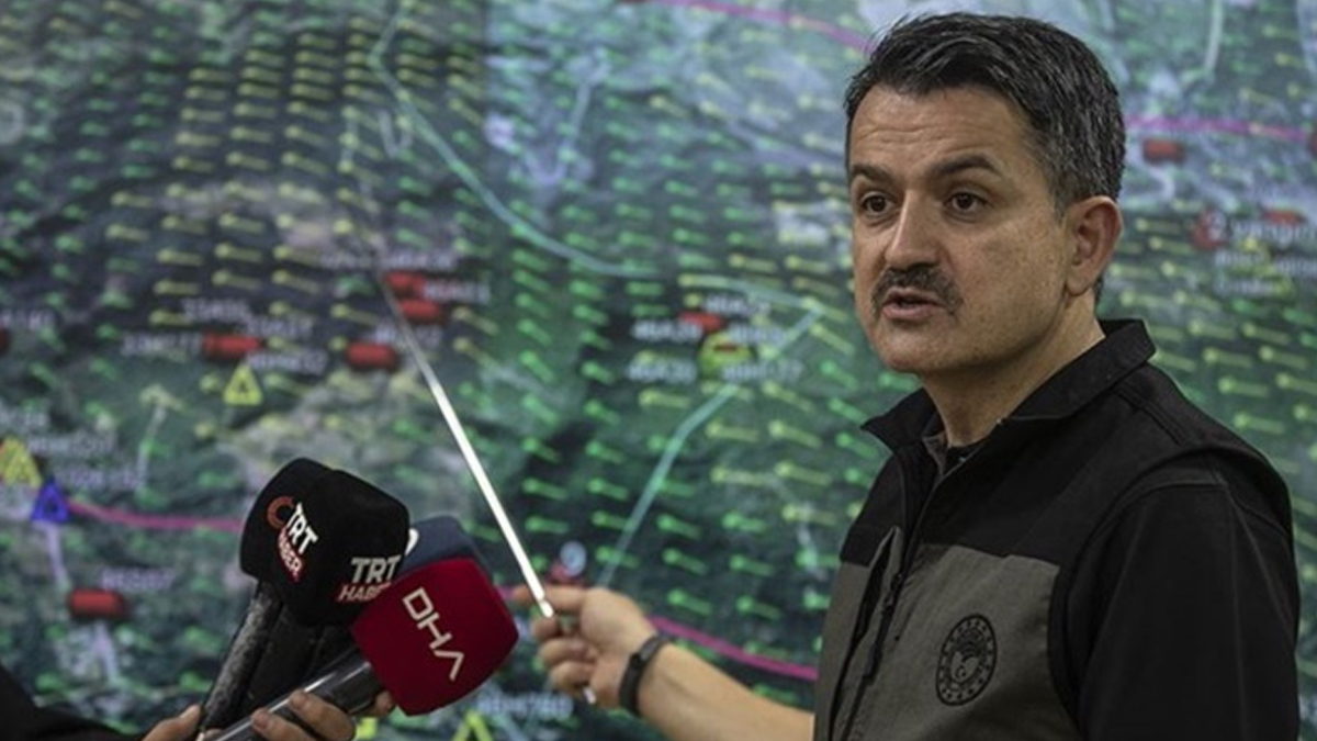 Bakan Pakdemirli'den Hatay yangını açıklaması: Yeniden ağaçlandırılacak