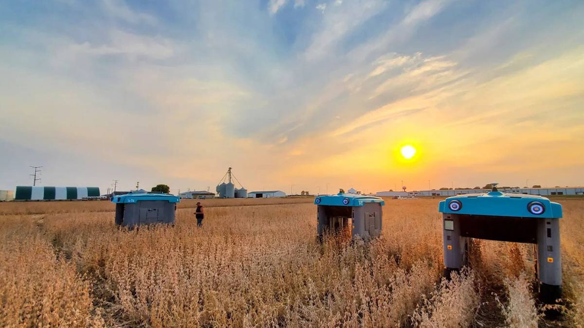 Alphabet şirketi robot çiftçileri sahaya sürdü
